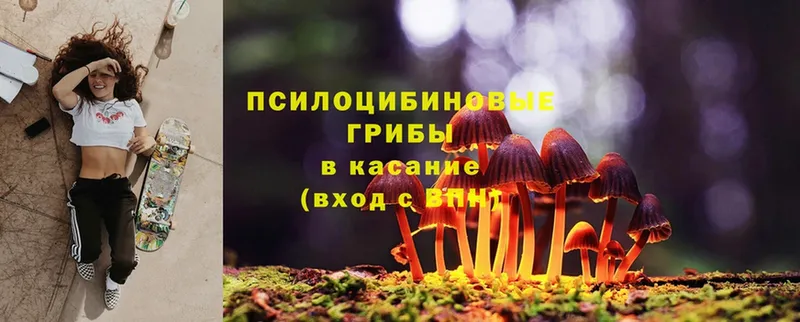 купить  цена  Уссурийск  Галлюциногенные грибы Magic Shrooms 